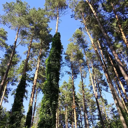 Tatil Evi Nad Jeziorem Z Lodka Kretowiny